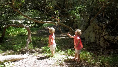 Niñas-Gemelas-Cautivadas-Por-Mariposas-Volando-A-Su-Alrededor-En-Un-Bosque-De-Madera-De-Leche-En-Hermanus,-Sudáfrica