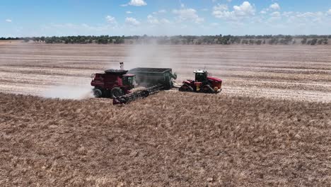 de geavanceerde machines en precisie in actie te verkennen tijdens een grootschalige lupine oogstoperatie