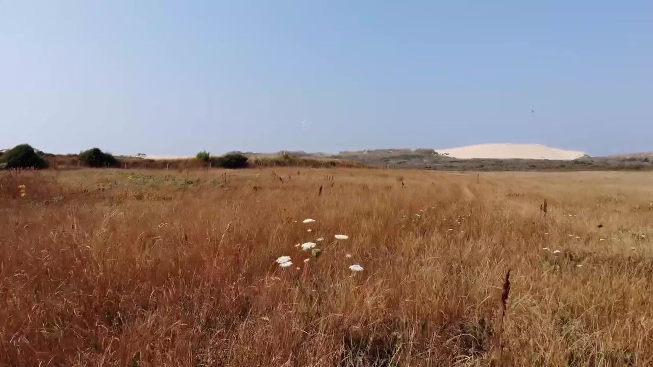 Vista aérea de grandes dunas y vegetación en la costa del Mar del Norte a las afueras de Løkken, Dinamarca