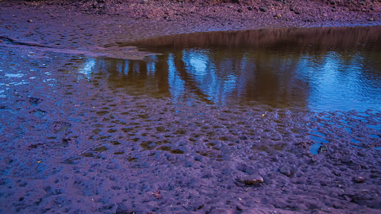 Muddy riverbank with a puddle of still water