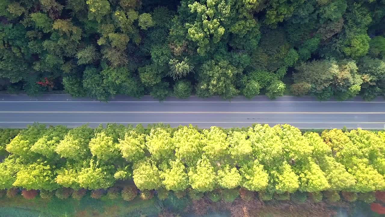 가을에 도로의 높은 각도 뷰 남한