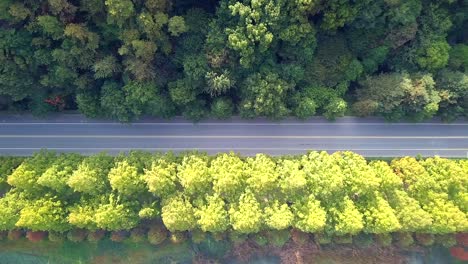 high angle view the road in autumn south korea