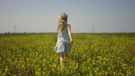 young girl in white dress runs through yellow wildflower field, following from behind