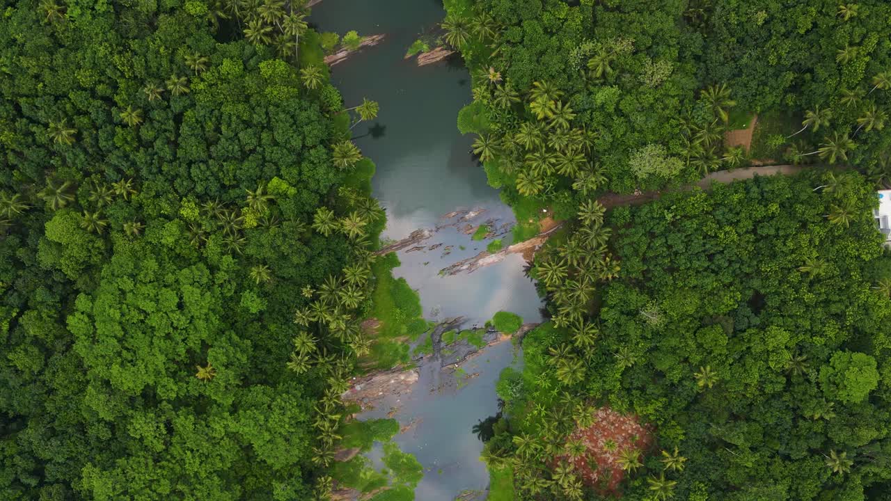 una toma aérea de un dron de la belleza tropical de kerala, con densos bosques de coco y un río sereno que lo atraviesa.