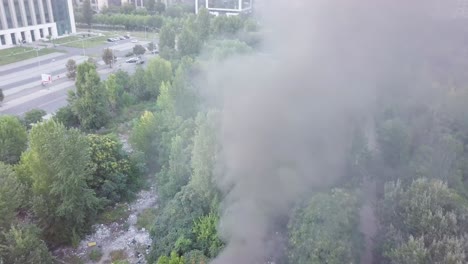 Smoke-rising-from-a-yard-in-Romania