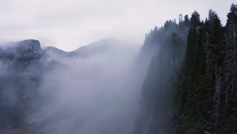 aerial dolly along barren trees on edge of cliff entering thick misty cloud bank