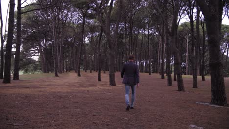 lonely depressed man with pine tree forest surrounding him