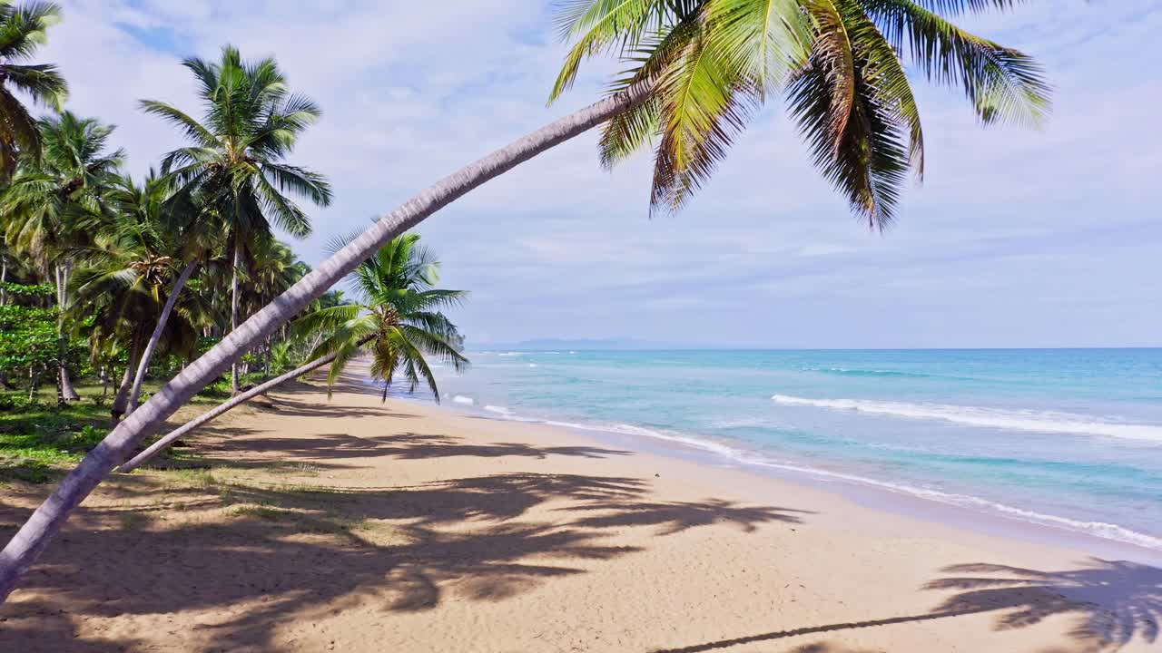 tranquilo paisaje de playa en playa coson las terrenas republica dominicana - toma aerea