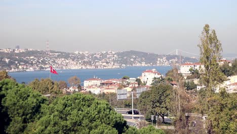 Baum-Vor-Der-Stadt-Und-Dem-Meer-In-Istanbul