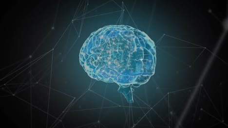 red digital del cerebro