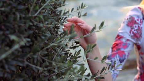 female-model-touching-olive-branches-with-her-hand