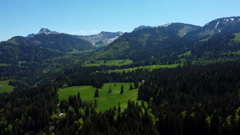 Green-Forest-In-The-Swiss-Alps-Near-Montreux,-Vaud,-Switzerland