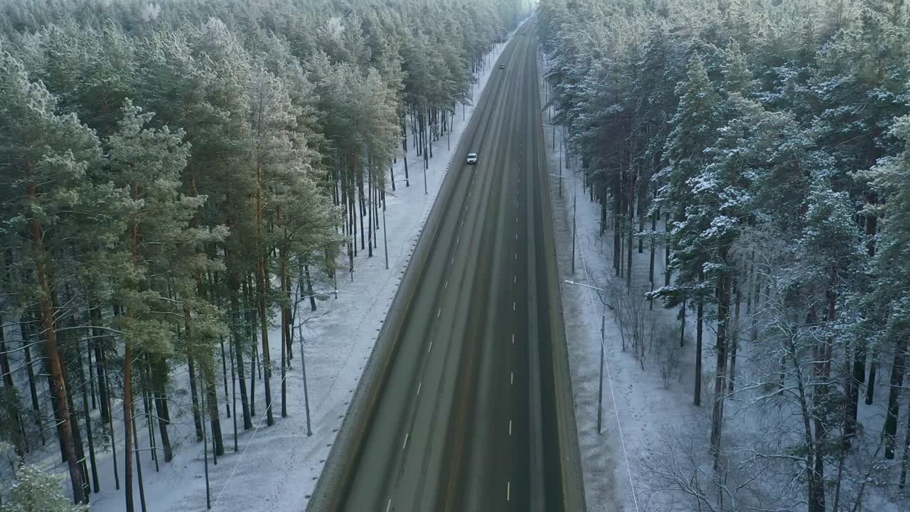 Snowy Forest Highway