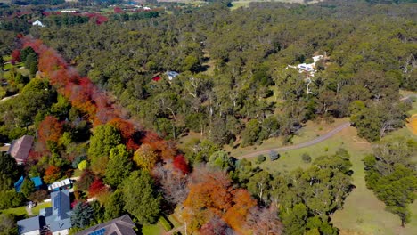 panning aerial footage of honour avenue