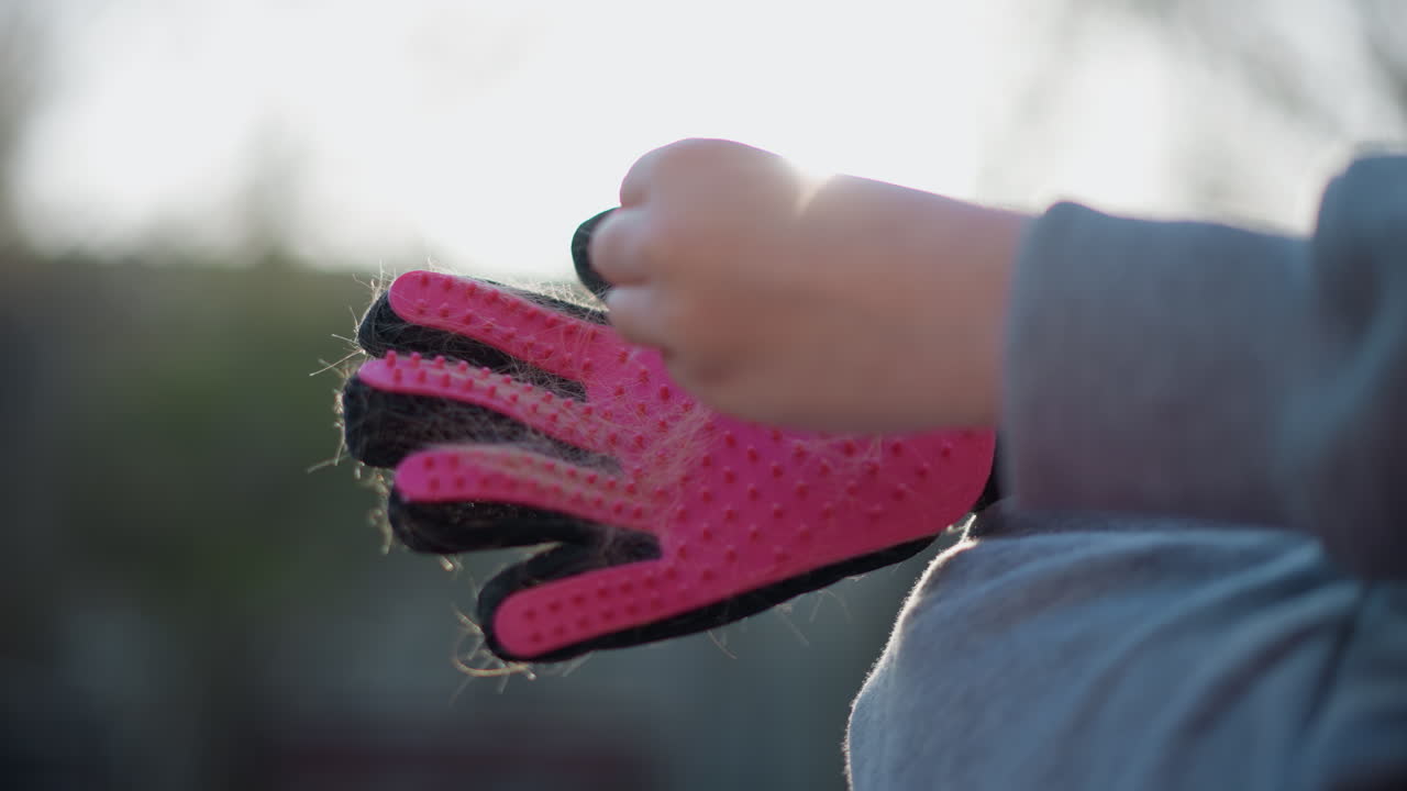 따뜻한 빛이 손질 장면을 조심스럽게 비추고, 부드러운 야외 조명이 평화로운 강아지 손질 순간을 강조하며, 작은 반려동물을 빗질하기 위해 부드러운 손길로 준비하는 차분하고 영화 같은 장면을 보여 줍니다.