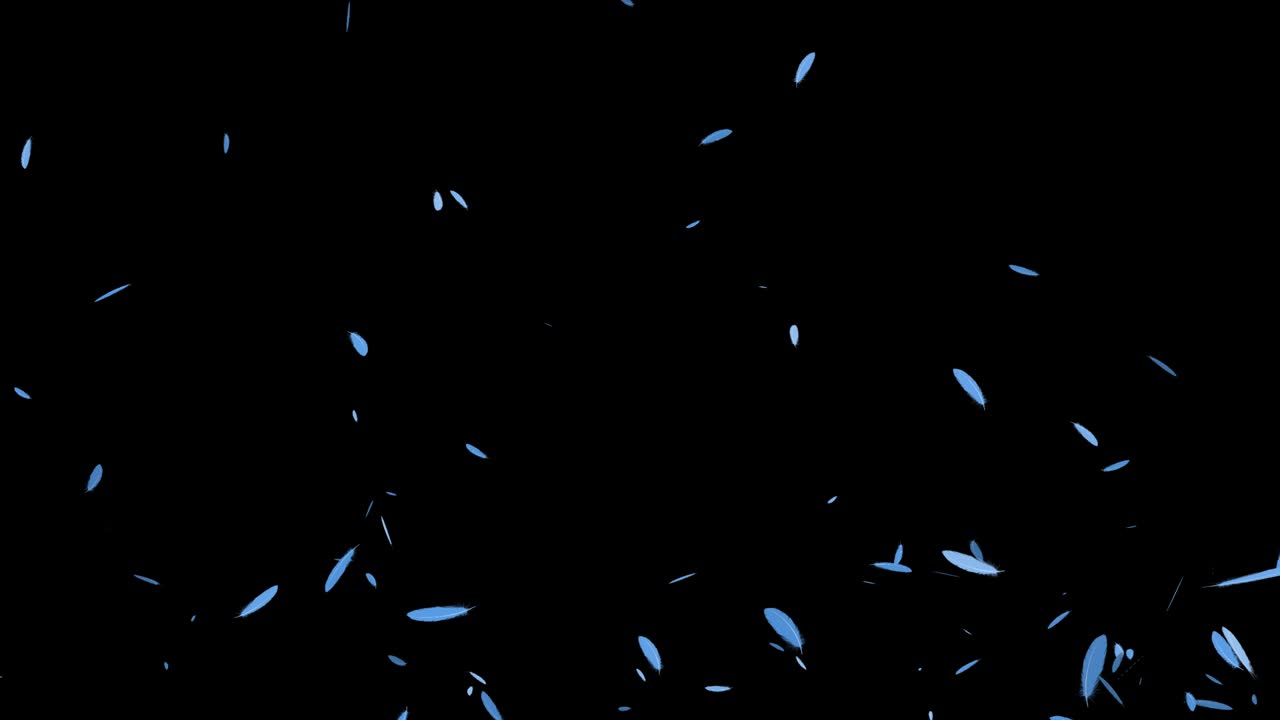 밝은 파란 털 날아다니는 입자 모션 그래픽
