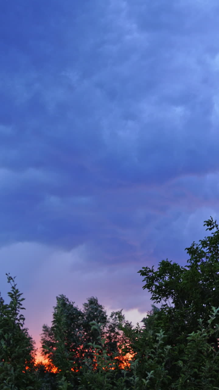 Wind shakes green trees before the rain outdoors. Lightning sparkles in the sky with many clouds under the tops of trees in the evening. Vertical video