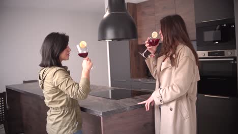 two women, couple of friends drink wine indoor at kitchen home toasting cheering with glass smiling, speaking and laughing