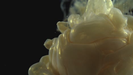 golden thick liquid billowing in clarity