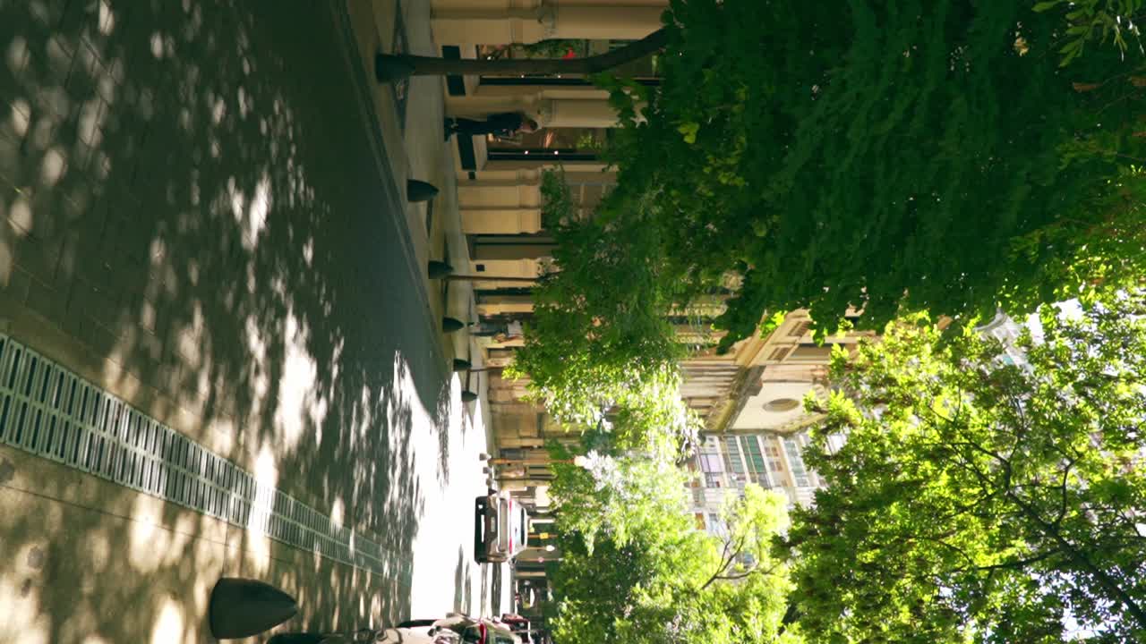 Vertical view of a large vehicle passing through Arroyo Street surrounded by an arch of trees, Buenos Aires, Argentina