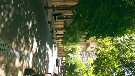 Vertical-view-of-a-large-vehicle-passing-through-Arroyo-Street-surrounded-by-an-arch-of-trees,-Buenos-Aires,-Argentina