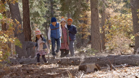 asian family of five enjoy a walk in a forest, kids pointing