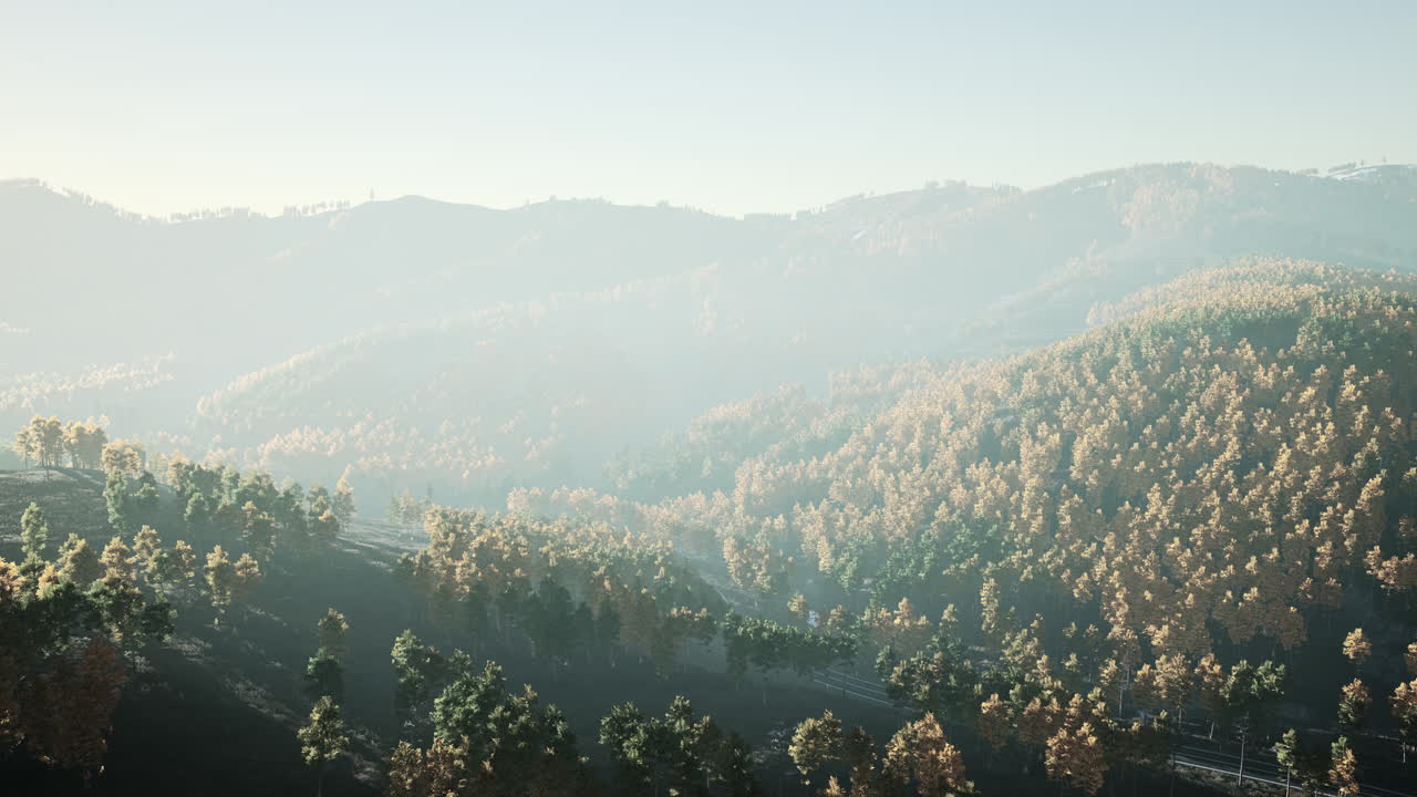 황금색 노란색과 초록색의 숲의 아름다운 풍경