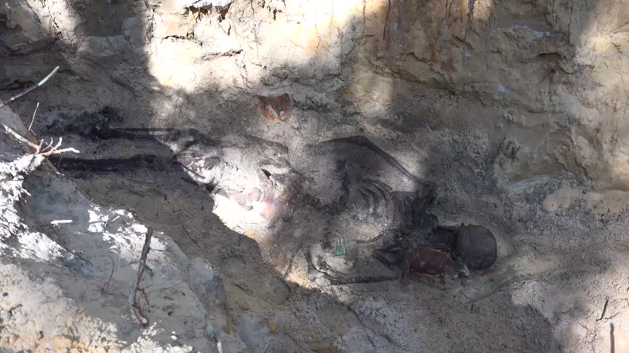 exhumación es el acto de desenterrar, especialmente un cadáver