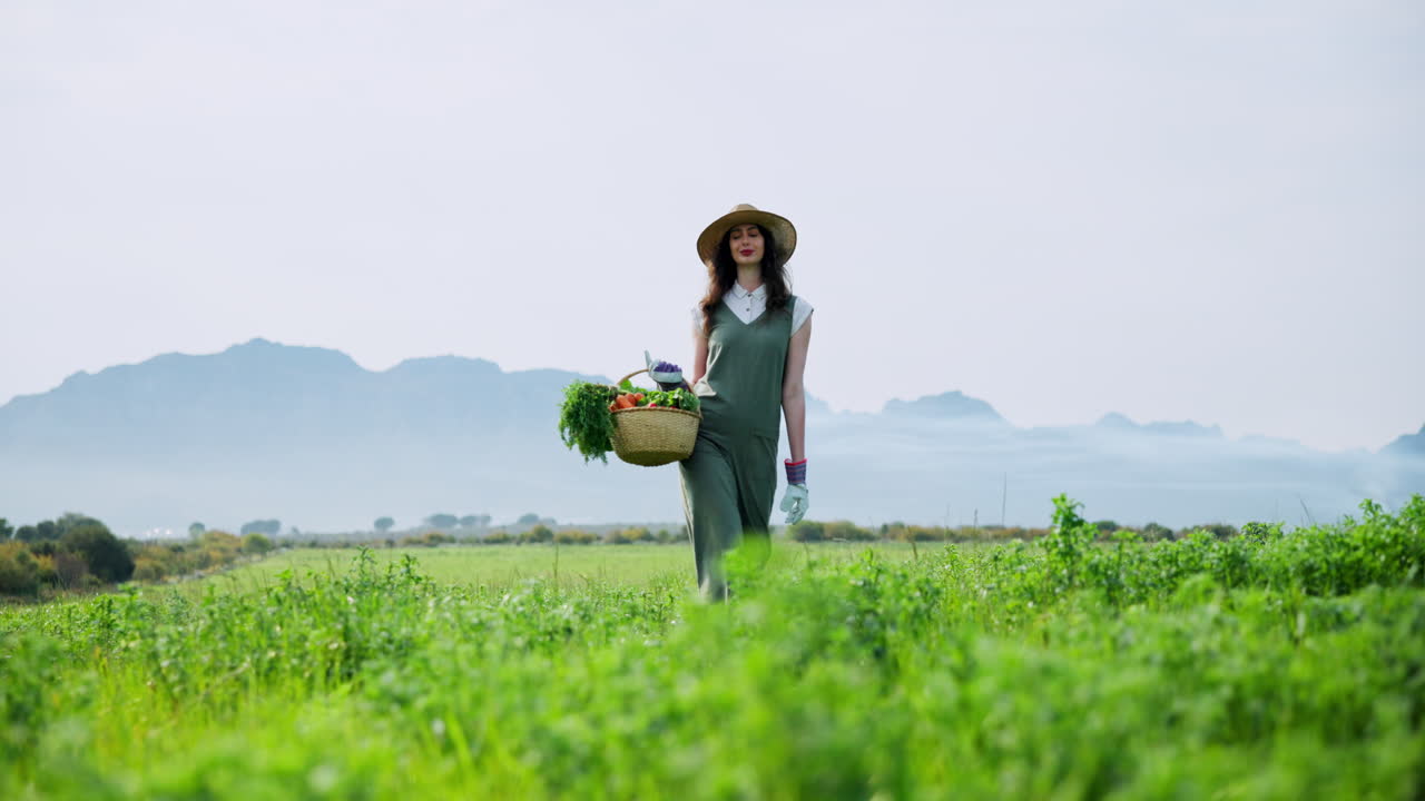 女性が畑で野菜を収穫している。