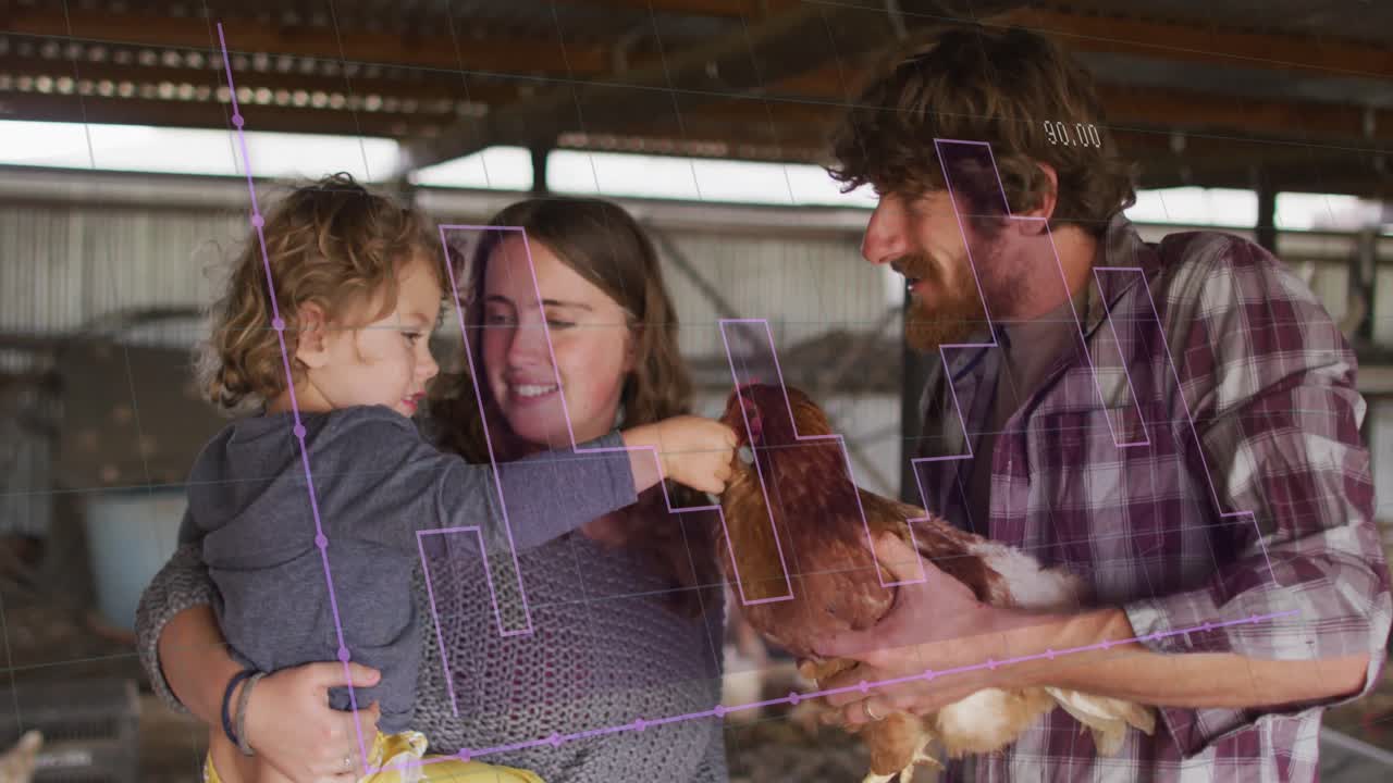animación del procesamiento de datos financieros sobre la explotación familiar caucásica de pollo