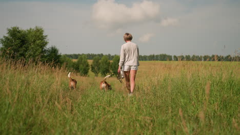 woman holding dog leash and purse walking alongside two dogs in grassy field, dogs wagging their tails happily, one dog looking up at owner with open mouth, in a sunny day