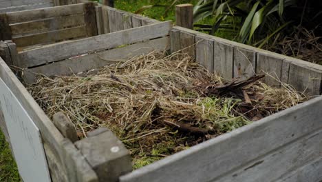 Blattschimmel-Trockene-Blätter-In-Der-Ladung-Holzkompost