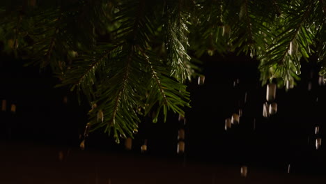 rain on christmas tree branches at night