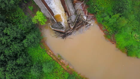 flooded bridge over a river in a forest