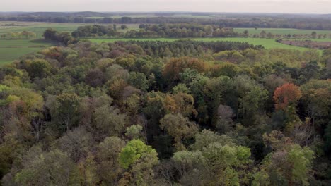 Drohnenaufnahmen-Von-Bäumen-Mit-Herbstfarben,-Aufgenommen-Am-Ort-Uetz-In-Brandenburg,-Deutschland