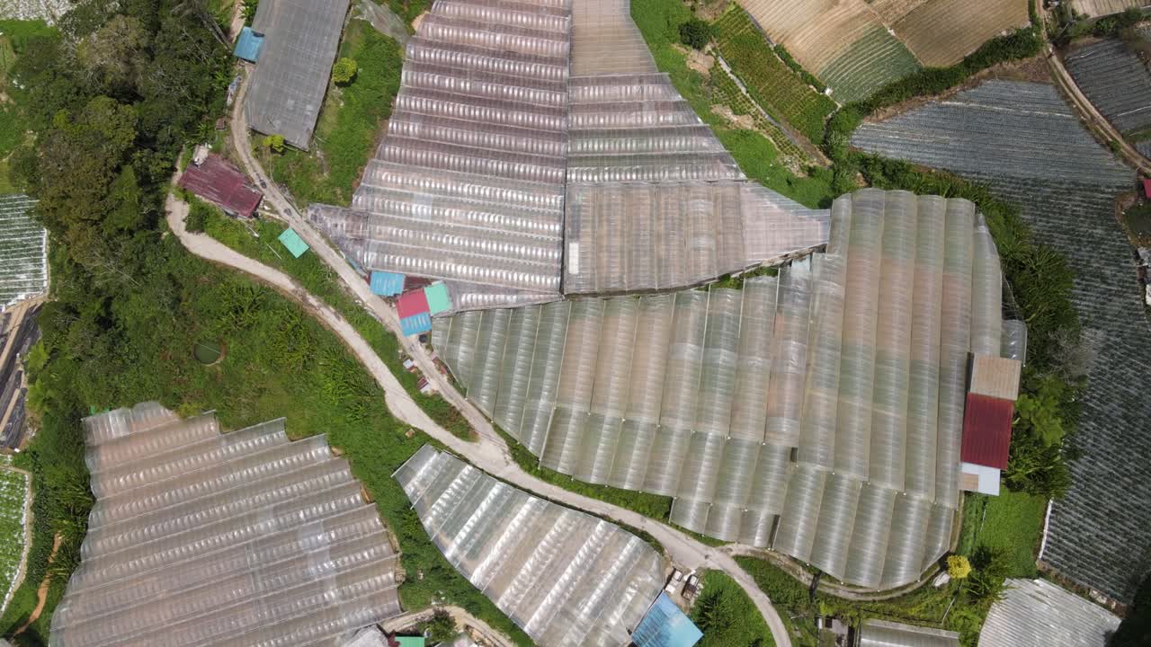 말레이시아의 카메론 하이랜드 지역 내의 브린창 지역의 일반 풍경