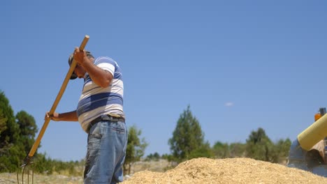 farmer working field