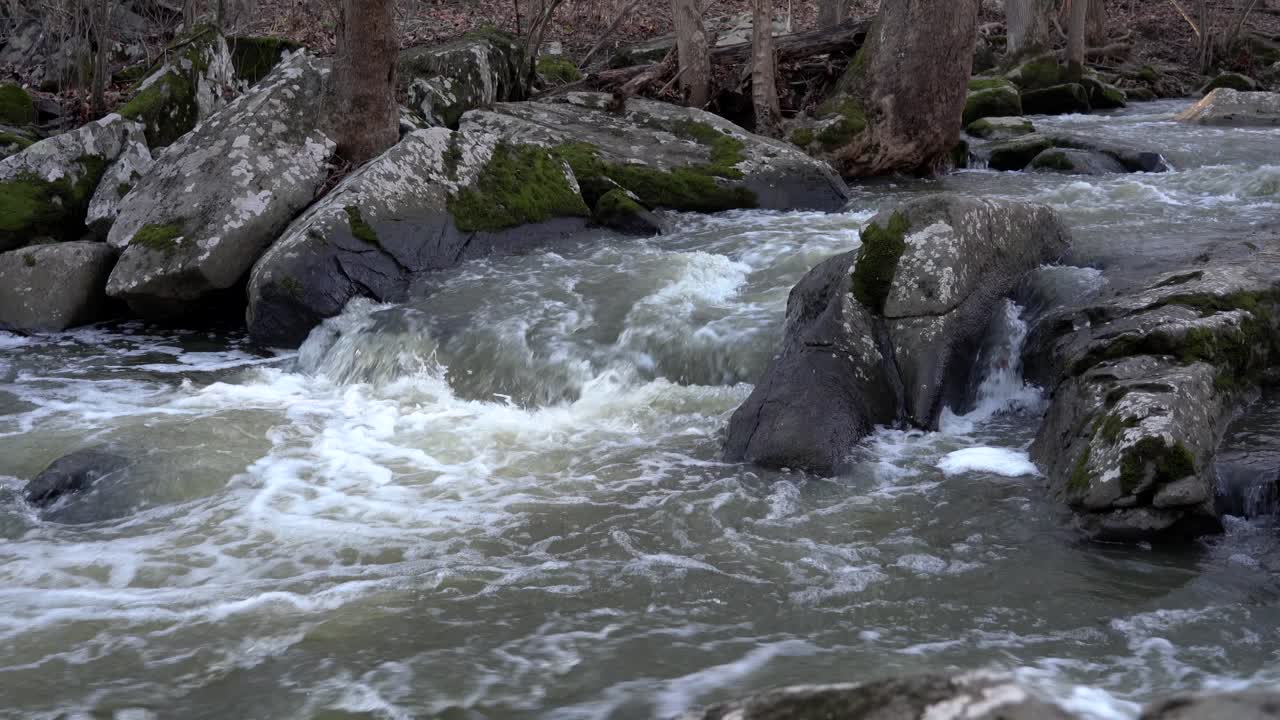 Un fiume che scorre sulle rocce e sui massi nel bosco in autunno.