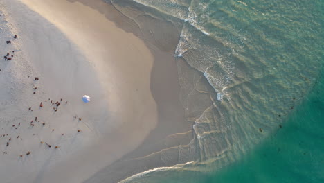 Playa-De-Arena-Vacía-Y-Sombrilla,-Vista-Aérea-Superior