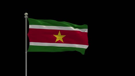 suriname  various of flags waving national flag on pole, table flag