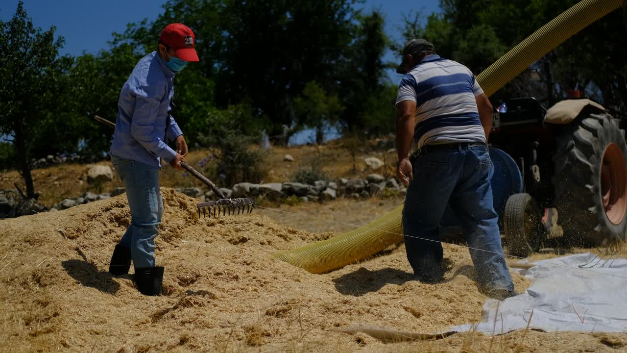 joven agricultor cargando heno