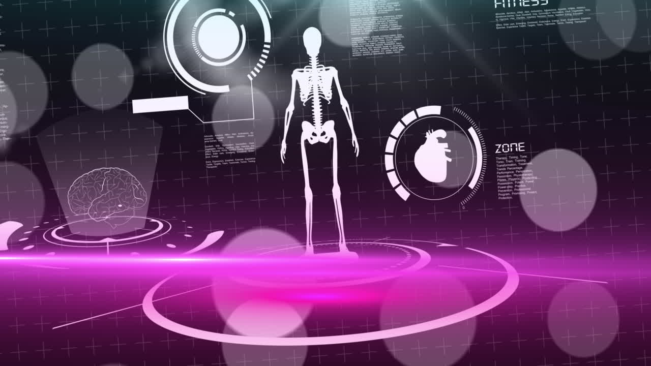 animación de la interfaz digital con procesamiento de datos