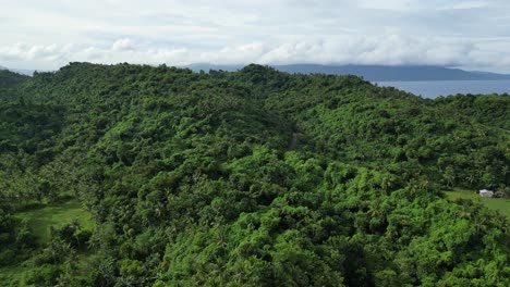 An-aerial-view-of-forested-hills-on-an-island,-with-clouds-covering-the-island-in-the-background