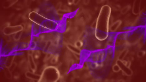 animation of purple light trails and covid 19 cells floating