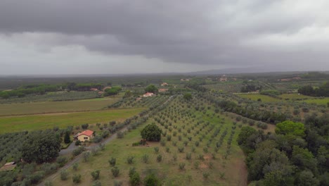 Cielo-Nublado-Sobre-Olivar,-Toscana-Italia