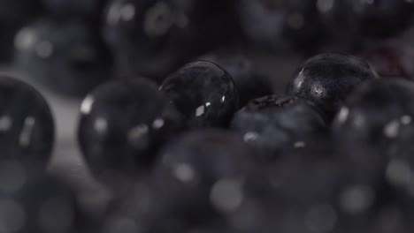 close up macro of organic blueberry rolling on white table cut board in professional restaurant kitchen healthy fruit diet