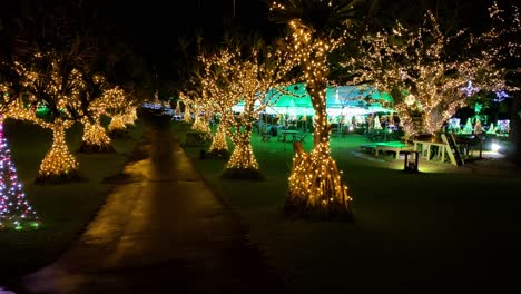 4khd christmas 2020 botanical garden okinawa japan-8