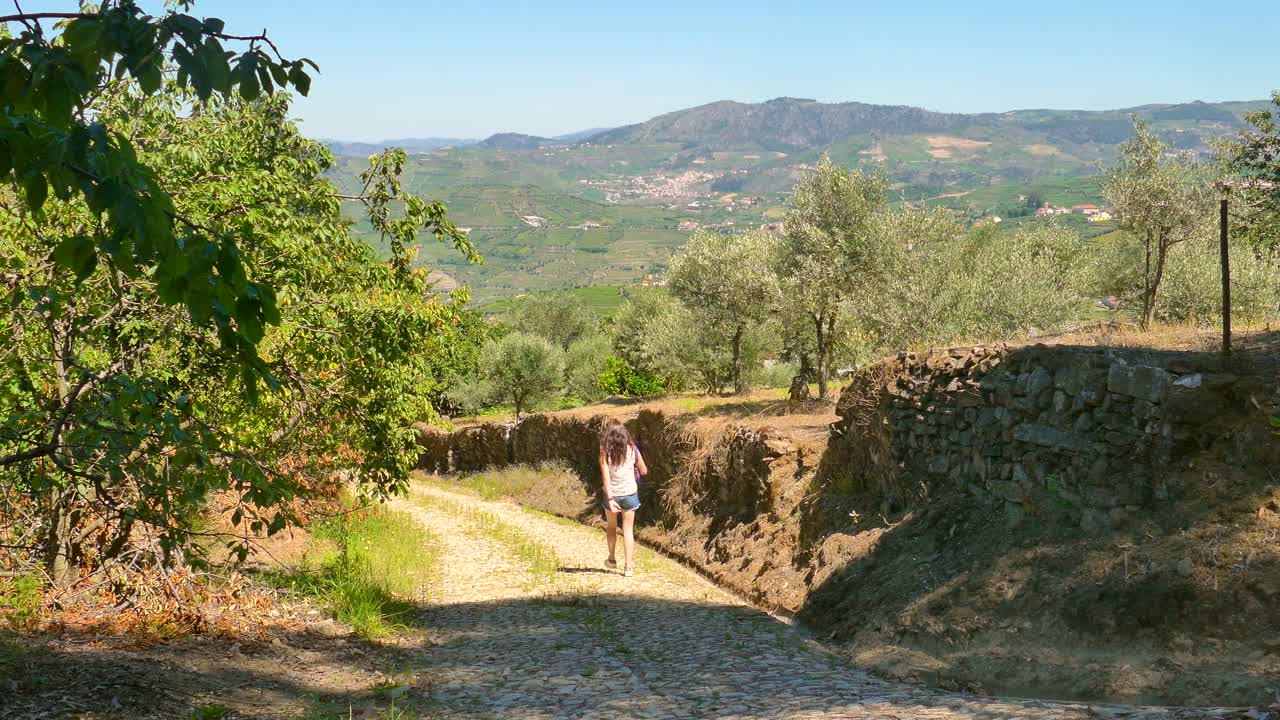 mujer caminando por el sendero a través de olivares en el valle del douro, oporto, portugal