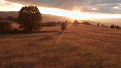 imágenes cinematográficas aéreas de drones fpv de un prado iluminado por el sol durante una puesta de sol de verano