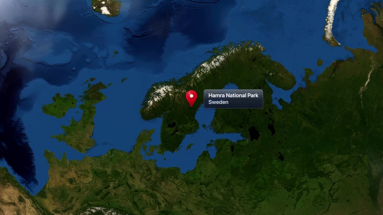 Satellite animation zooms from outer space into Hamra National Park in Sweden with pin marker. Includes NASA public domain imagery.